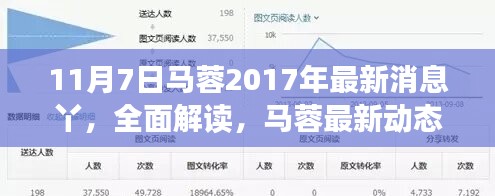 马蓉最新动态解析，产品特性、用户体验与目标用户群体分析——专业视角的全面解读