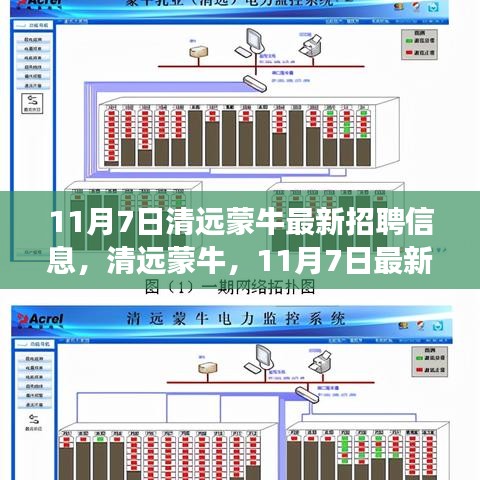 清远蒙牛最新招聘信息解读，11月7日全面更新