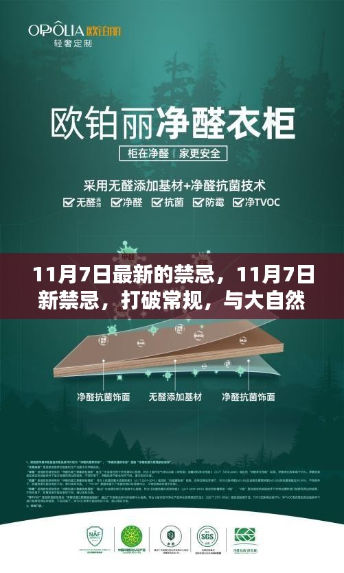 11月7日新禁忌揭秘，打破常规，与自然共舞的日子