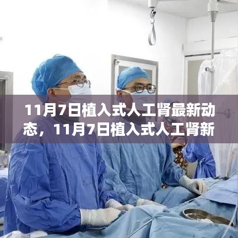 11月7日植入式人工肾新突破，与自然美景共舞的心灵宁静之旅