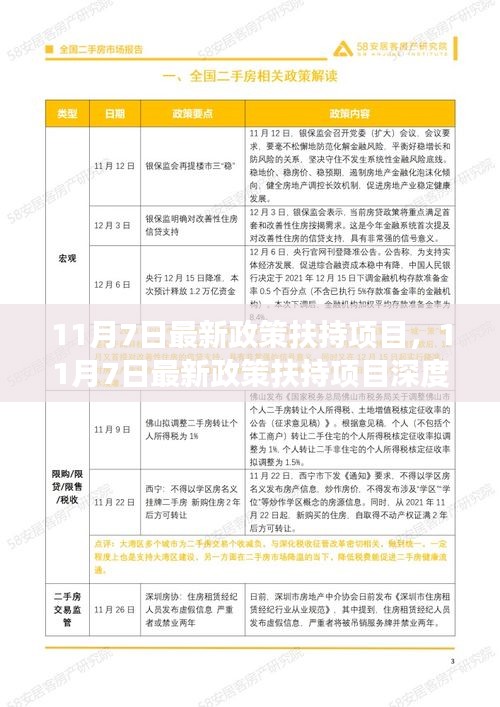 11月7日政策扶持项目解读，利弊分析、前景展望及深度探讨