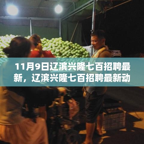 辽滨兴隆七百最新招聘动态解析——11月9日招聘要点一览