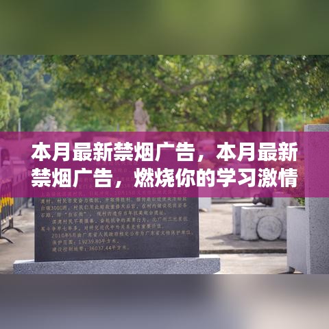 本月最新禁烟广告，重塑未来，燃烧学习激情，成就自信与成就感的旅程