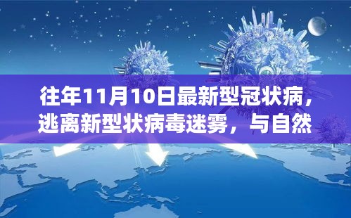 逃离病毒迷雾，自然美景邂逅之旅的启示（往年11月10日最新型冠状病回顾）