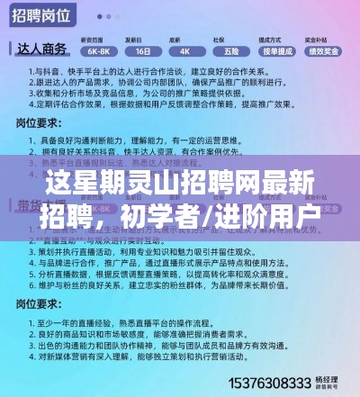 本周灵山招聘网最新招聘信息，初学者与进阶用户掌握信息的步骤指南