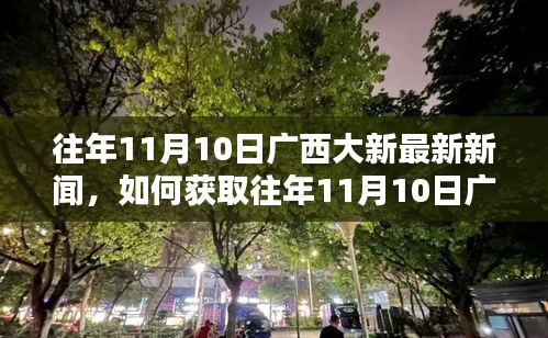 往年11月10日广西大新新闻回顾，获取最新资讯的指南