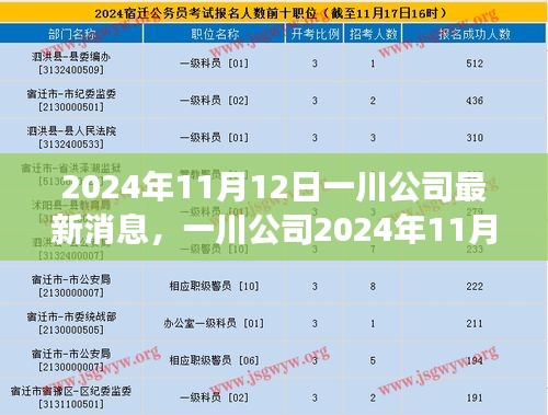 一川公司最新动态解析，深度探讨其最新进展与未来展望（2024年11月12日）