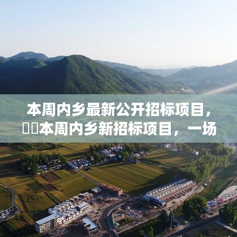 本周内乡最新公开招标项目，自然美景探索之旅，心灵宁静港湾的寻找