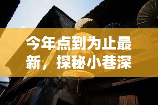 今年探秘小巷深处的独特风味，最新隐藏小店的神秘面纱揭晓