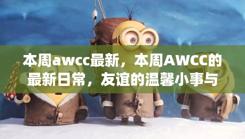 本周AWCC的日常，友谊与家的温馨小事