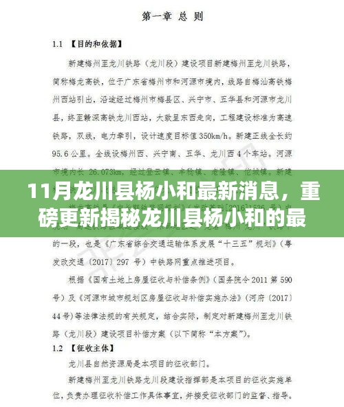 独家揭秘，龙川县杨小和最新动态——11月重磅更新报道！