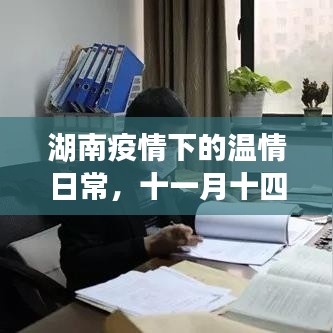 湖南疫情下的温情日常，十一月十四日的疫情观察与故事