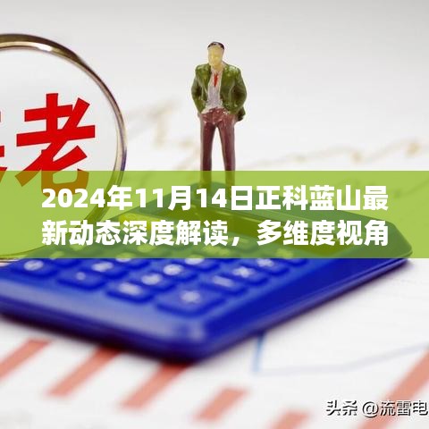 2024年11月14日正科蓝山最新动态深度解读，多维度视角的观察与思考