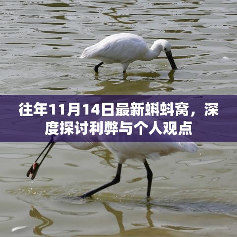 往年11月14日最新蝌蚪窝，深度探讨利弊与个人观点