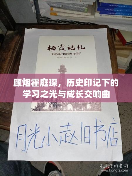 顾烟霍庭琛，历史印记下的学习之光与成长交响曲