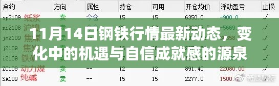 11月14日钢铁行情最新动态，变化中的机遇与自信成就感的源泉