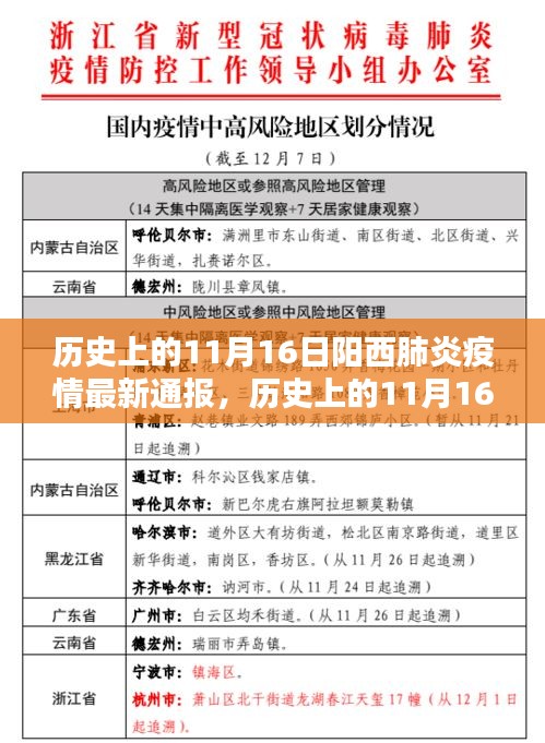 历史上的11月16日阳西肺炎疫情最新通报及分析，某某观点下的深度阐述