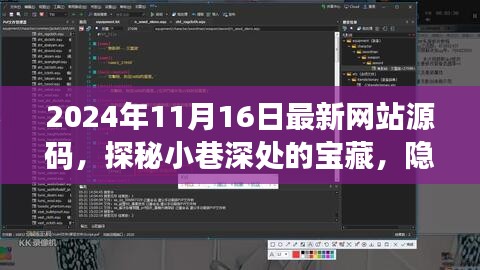 探秘小巷深处的宝藏，最新网站源码与繁华背后的特色小店之旅（2024年11月16日）