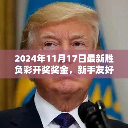 掌握最新胜负彩开奖奖金攻略，新手指南与全攻略（2024年11月17日版）