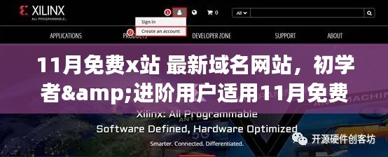 11月免费X站最新域名网站访问全攻略，适合初学者与进阶用户