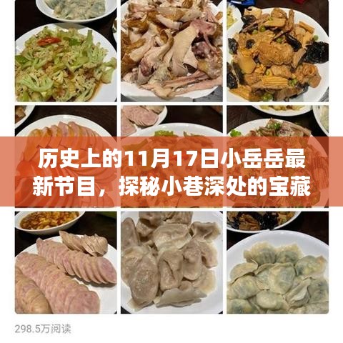 小岳岳最新节目探秘宝藏小巷，隐藏美食天堂揭秘之旅