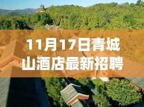 青城山酒店最新招聘启事，探寻隐秘瑰宝，小巷特色酒店招聘之旅