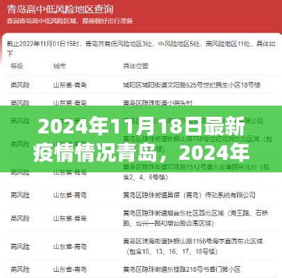 青岛疫情最新动态，深度分析2024年11月18日最新疫情情况