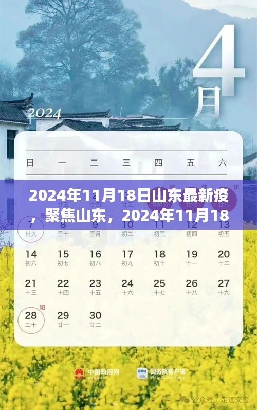 2024年11月18日山东最新疫，聚焦山东，2024年11月18日疫情最新动态及科普解读