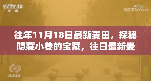 探秘往年11月18日最新麦田，隐藏小巷的宝藏与独特魅力之旅