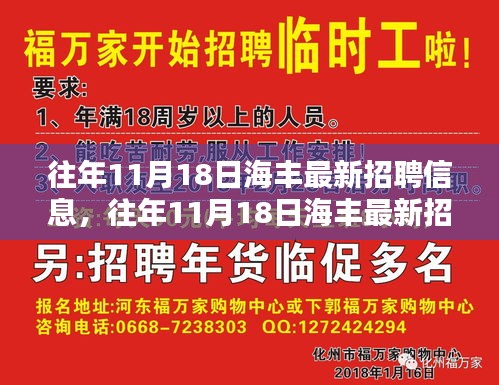 海丰最新招聘信息获取攻略，往年11月18日招聘信息全解析 初学者与进阶用户必看