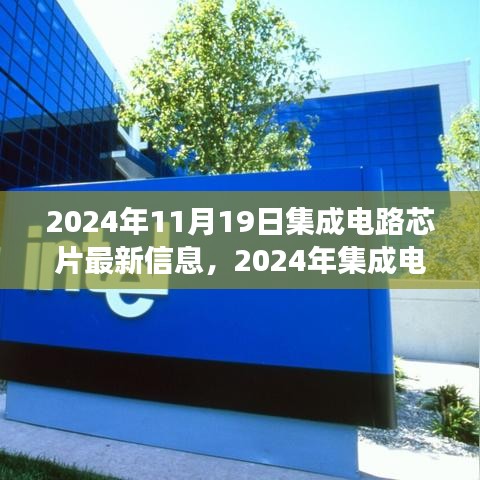 2024年11月19日集成电路芯片最新信息，2024年集成电路芯片新纪元，学习变化，拥抱未来，自信成就梦想