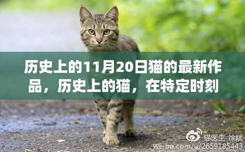 历史上的猫，闪耀与影响——以猫的最新作品与十一月二十日的变迁为例