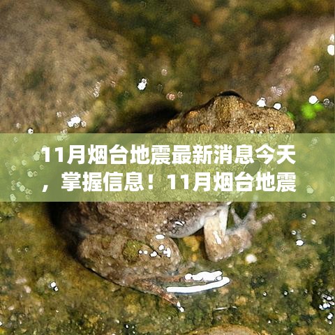 11月烟台地震最新消息今天，掌握信息！11月烟台地震最新消息今日全解析，地震应对指南助你从容应对