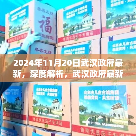 2024年11月20日武汉政府最新动态深度解析