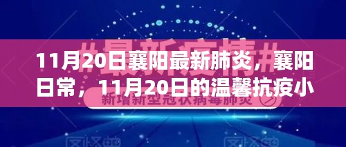 11月20日襄阳最新肺炎，襄阳日常，11月20日的温馨抗疫小事