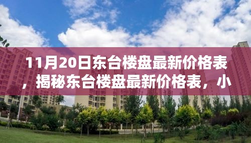 揭秘东台楼盘最新价格表与小巷风情小店的探秘之旅