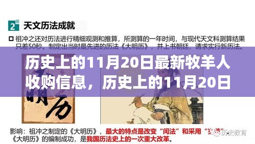 历史上的11月20日，智能牧羊人守护者引领科技新纪元，最新牧羊人收购信息揭秘