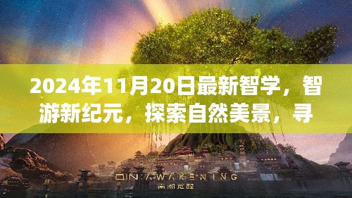 探索智游新纪元，追寻内心宁静与平和的自然美景之旅（2024年11月20日最新资讯）