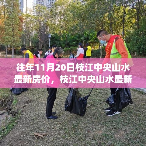 枝江中央山水最新房价指南，11月20日前后查询攻略与房价信息获取渠道解析