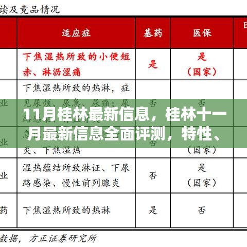 桂林十一月最新信息评测，特性、体验、竞品对比及用户群体深度解析