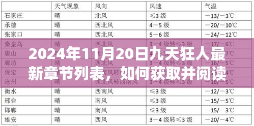 九天狂人最新章节获取指南，初学者与进阶用户详细指南（截至2024年11月20日）