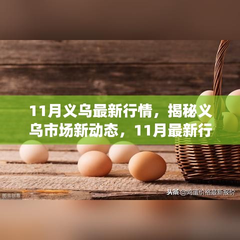 11月义乌最新行情，揭秘义乌市场新动态，11月最新行情概览