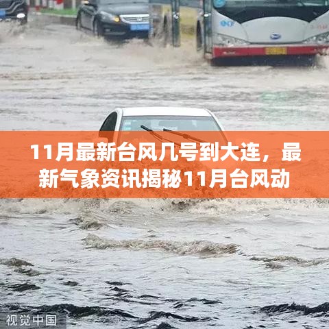 揭秘11月台风动向，大连地区警惕最新气象资讯来袭！