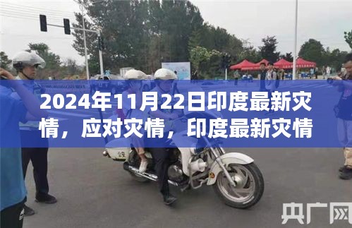 印度应对灾情紧急指南，最新灾情下的应对策略（2024年11月版）