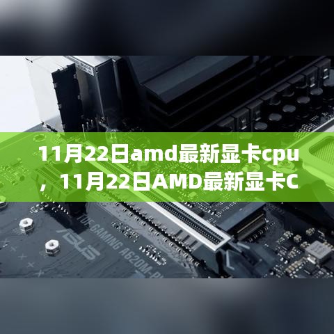 11月22日amd最新显卡cpu，11月22日AMD最新显卡CPU测评与解析