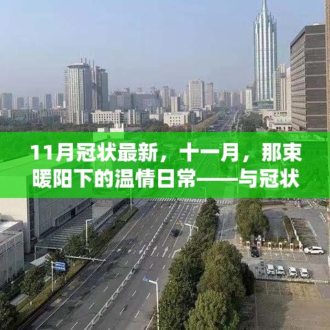 十一月暖阳下的温情日常，与冠状病毒的意外相遇