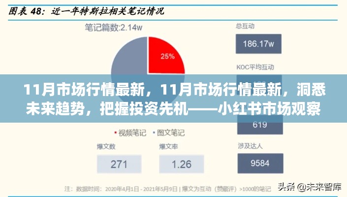 小红书市场观察报告，洞悉未来趋势，把握投资先机在十一月市场风云变幻中探寻机遇