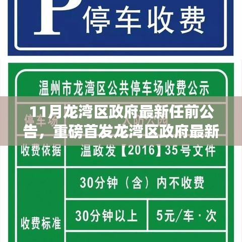 揭秘，龙湾区政府智能政务系统升级公告与最新科技巨献重磅首发！