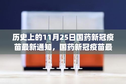 国药新冠疫苗最新通知发布，历史时刻下的深度解读与观点碰撞