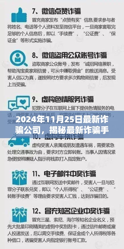 揭秘最新诈骗公司手段，2024年防骗指南，初学者与进阶用户必备